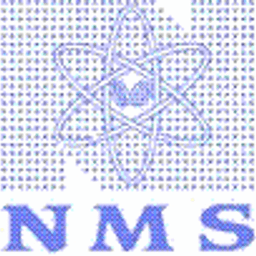 野村マイクロ・サイエンス株式会社 logo