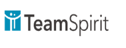 株式会社チームスピリット logo